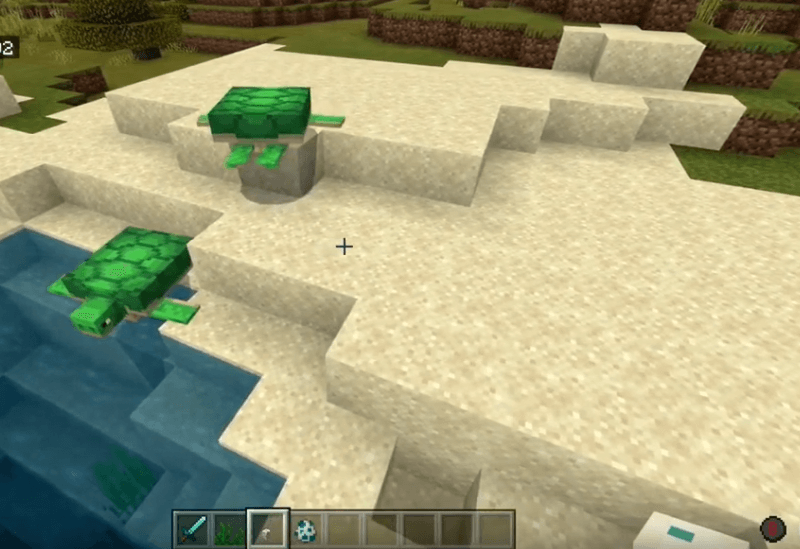 How To Breed Turtles In Minecraft