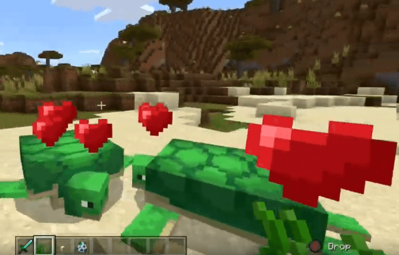 How To Breed Turtles In Minecraft