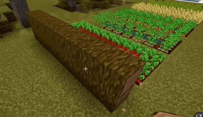 How To Grow Cocoa Beans In Minecraft