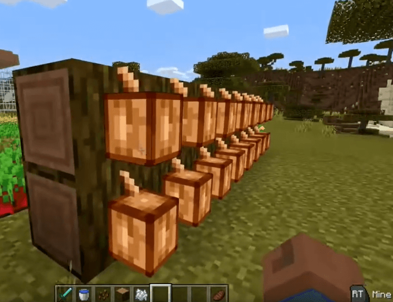 How To Grow Cocoa Beans In Minecraft
