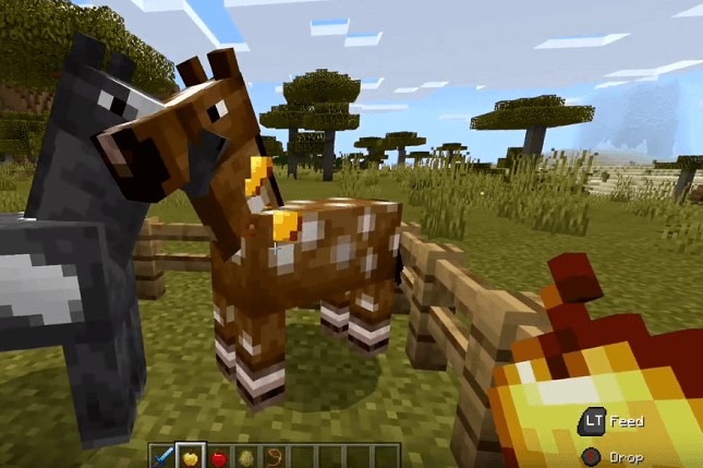 How To Breed Horses In Minecraft