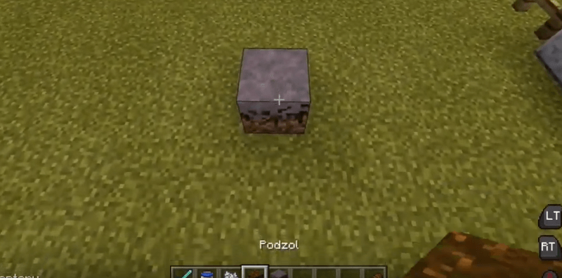 How To Grow Mushrooms In Minecraft