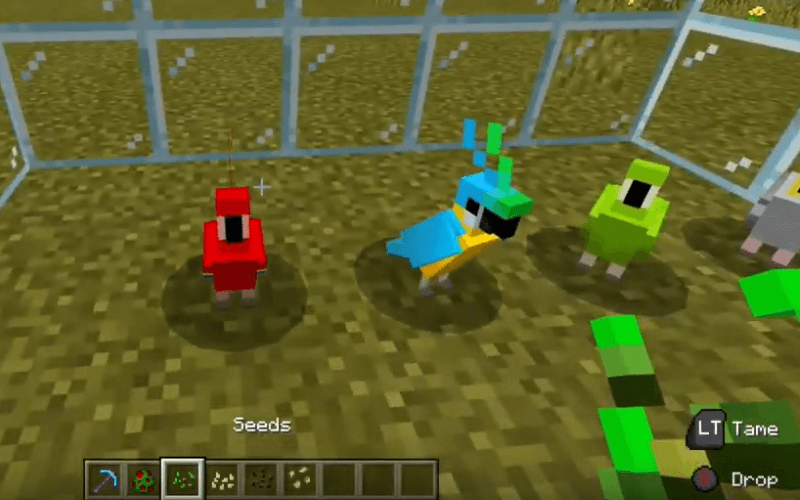 How To Tame A Parrot In Minecraft