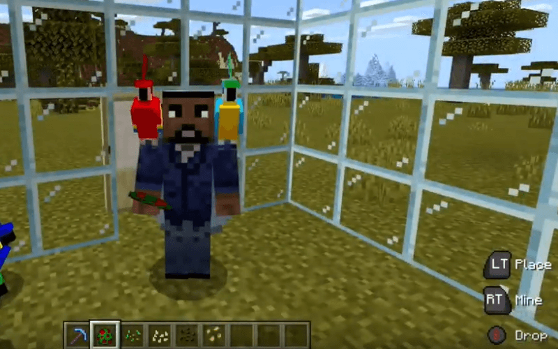 How To Tame A Parrot In Minecraft