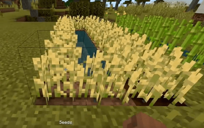 How To Get Wheat In Minecraft