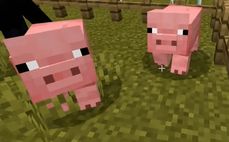 How To Breed Pigs In Minecraft