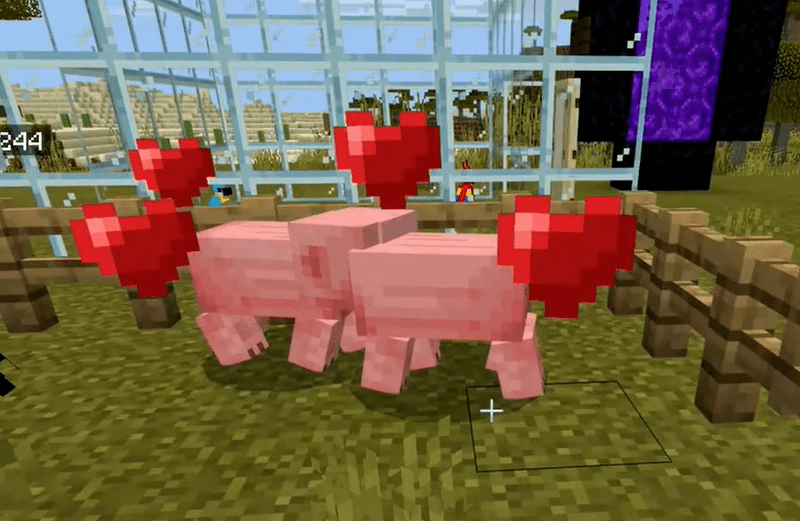 How To Breed Pigs In Minecraft