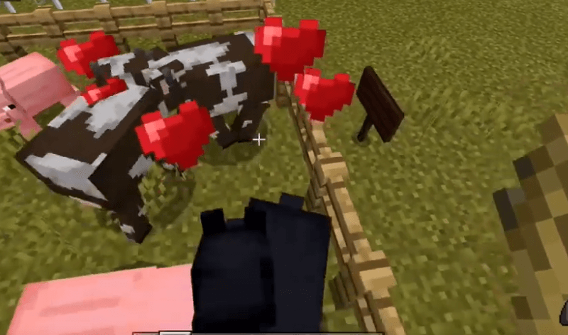 How To Breed Cows In Minecraft