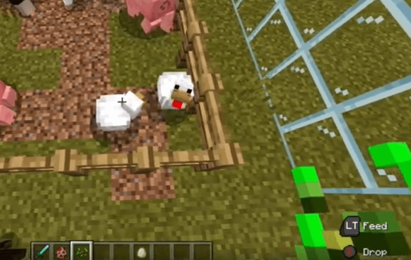 How To Breed Chickens In Minecraft