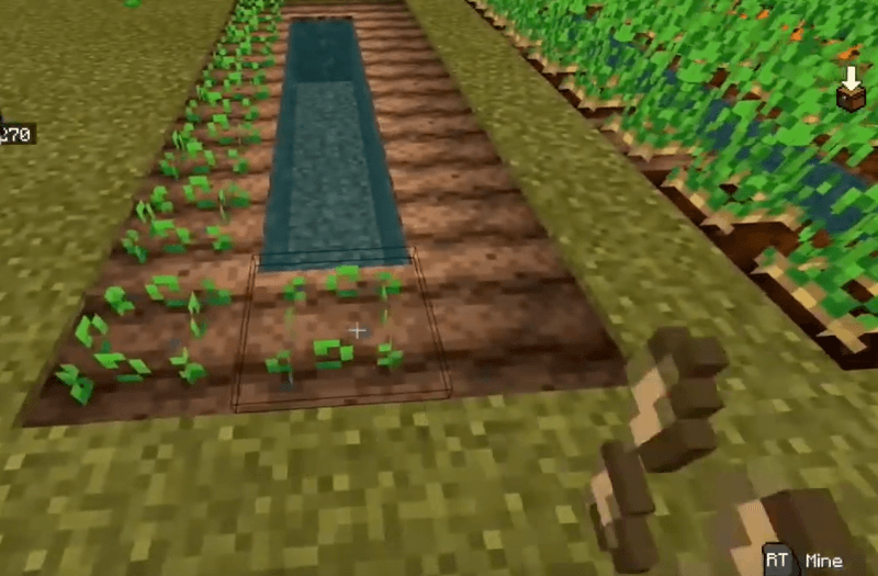 How To Plant Beetroot In Minecraft