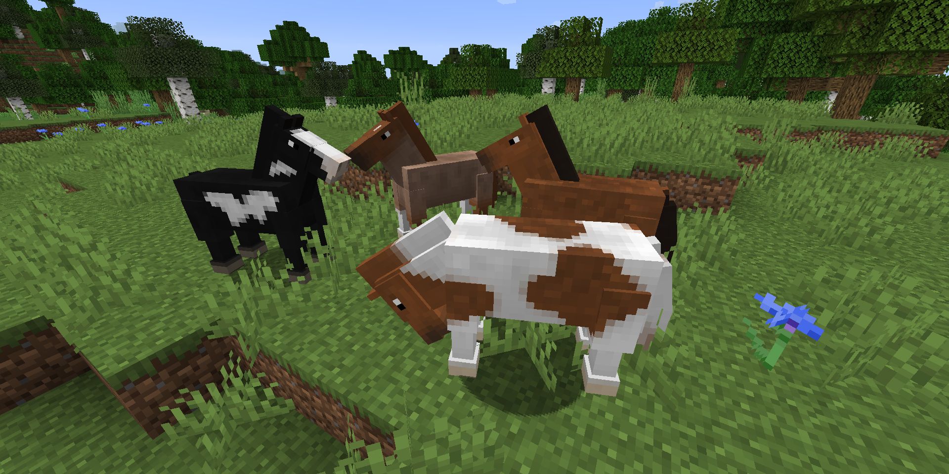 What is the title of this picture ? How To Breed Horses In Minecraft