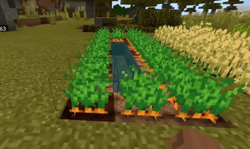 How To Get Carrots In Minecraft