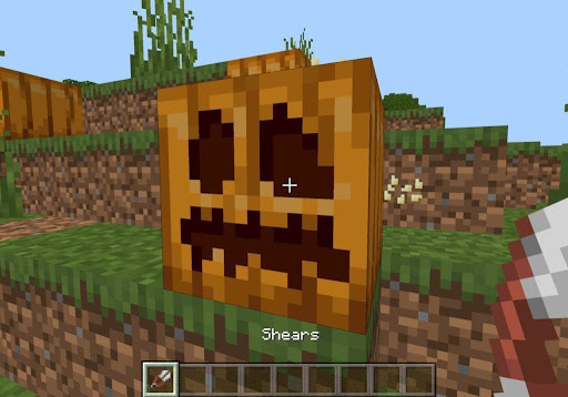 How to make a pumpkin head in minecraft
